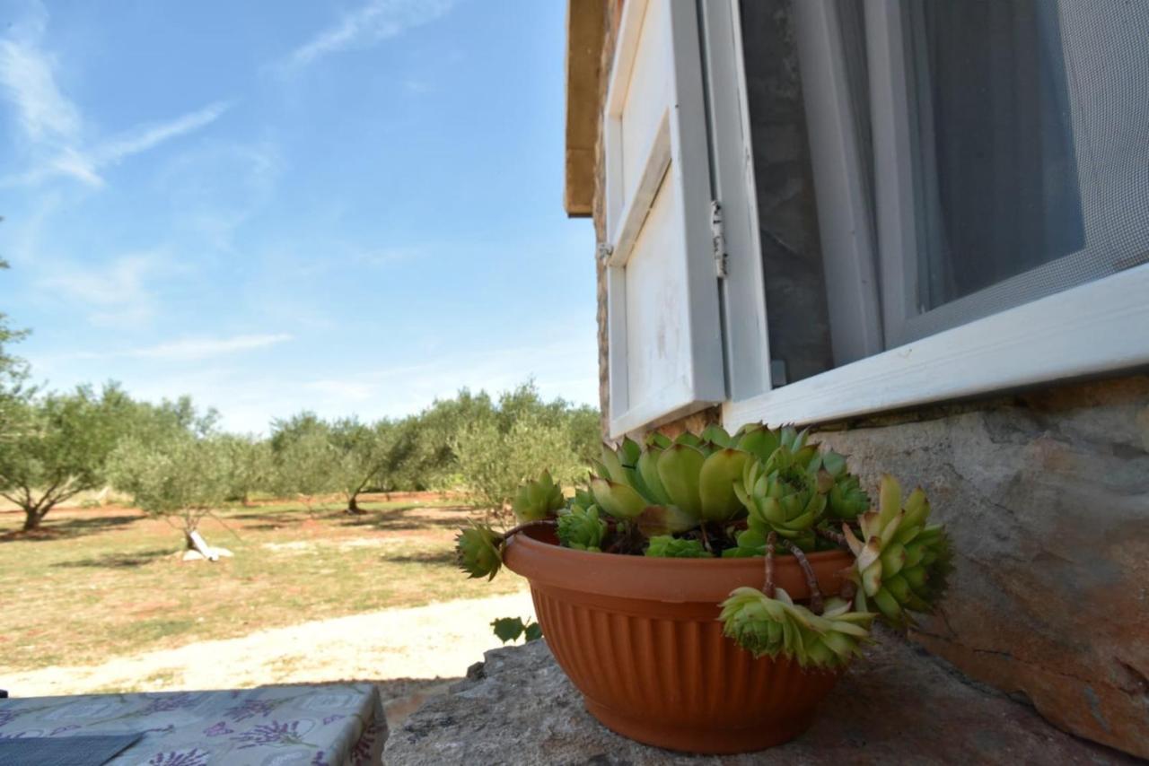 Cottage Rugonj Stari Grad  Eksteriør billede